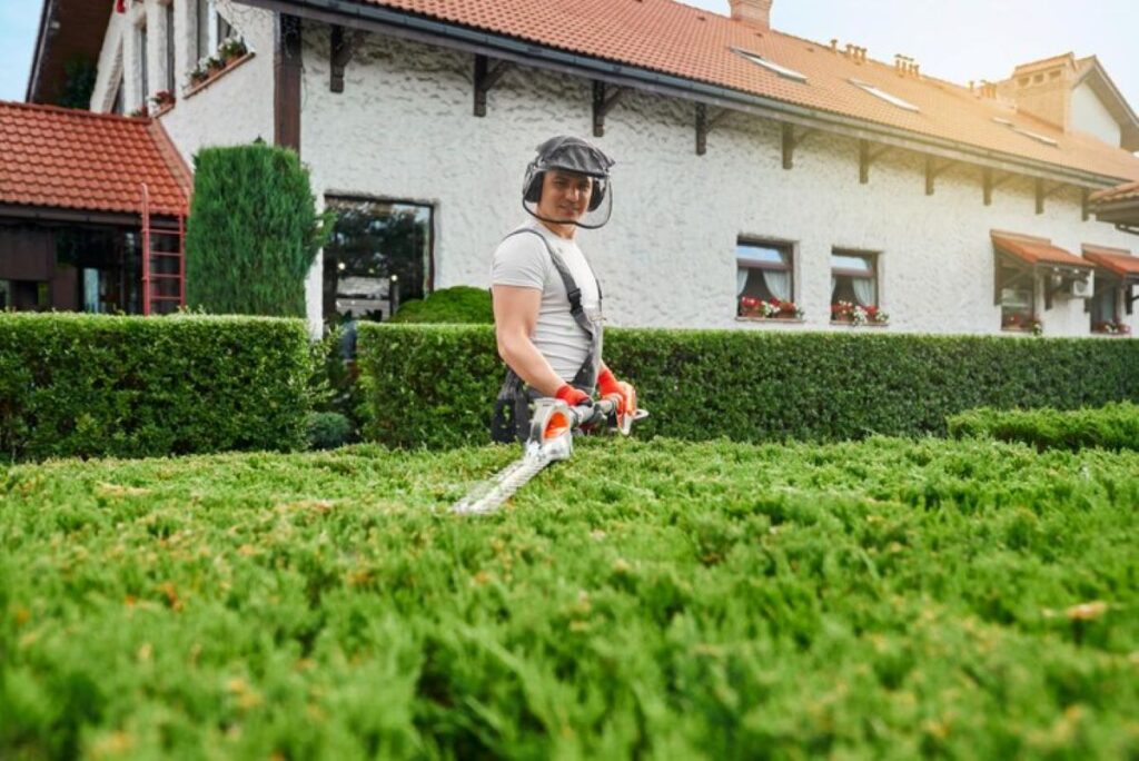 trim hedges